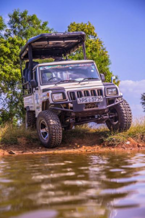 Buddika Safari & Resort